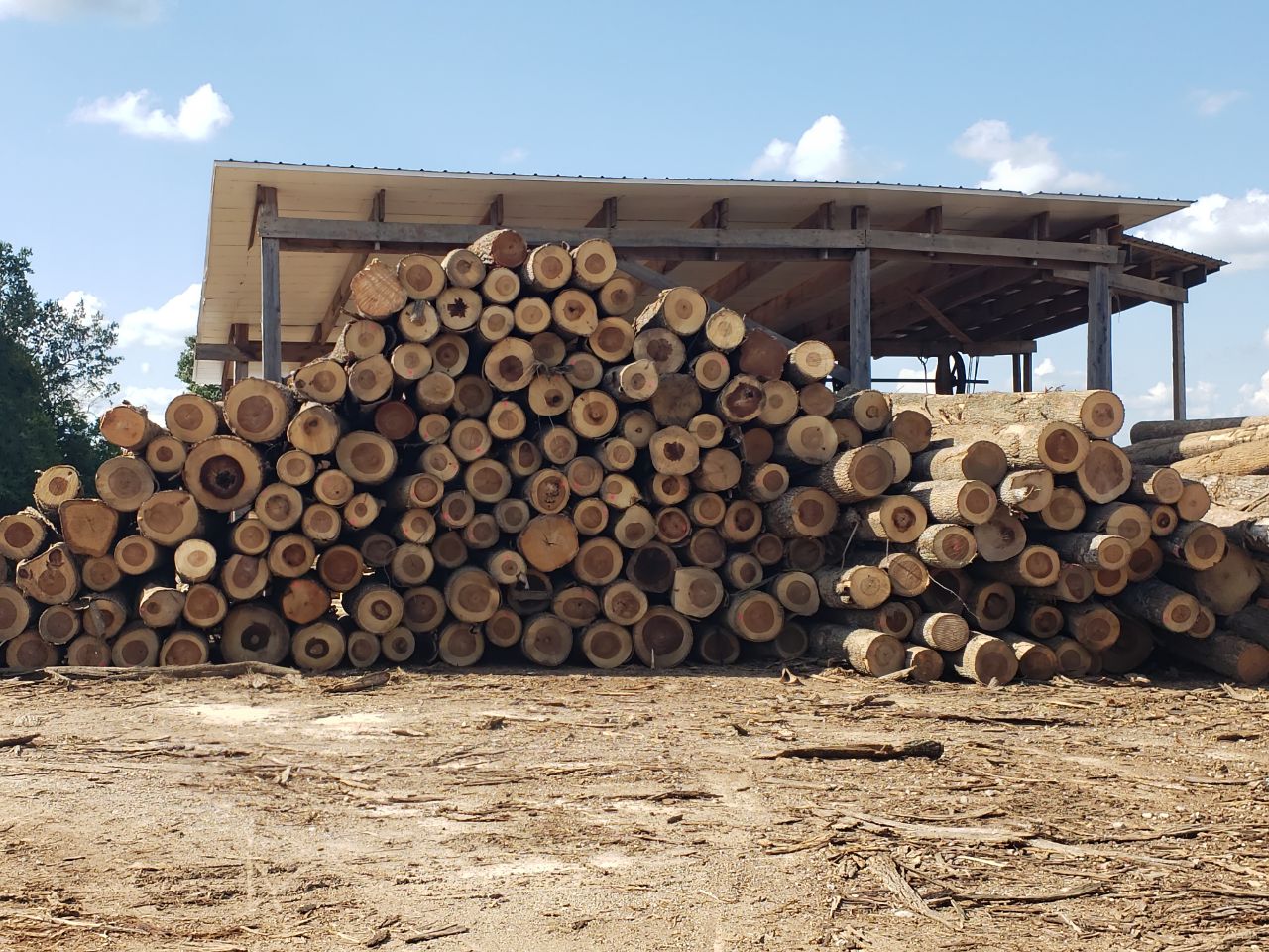 Stacked logs outside a covered wood-processing facility
